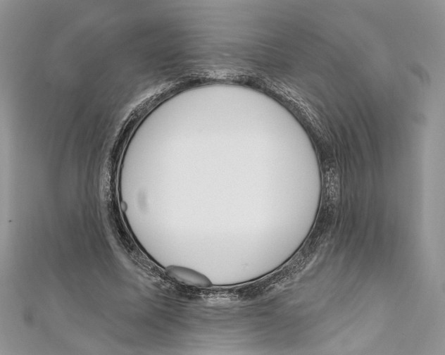X0000111640587200908281159
