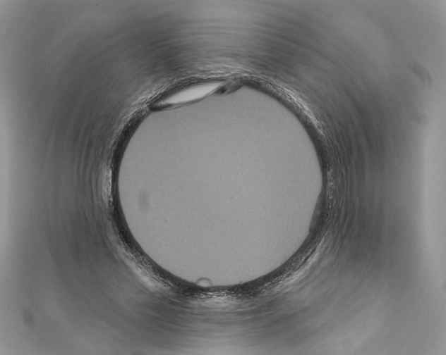 X0000111640589200908281159