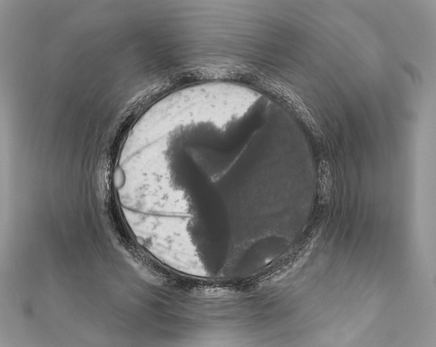 X0000111640590200908281159