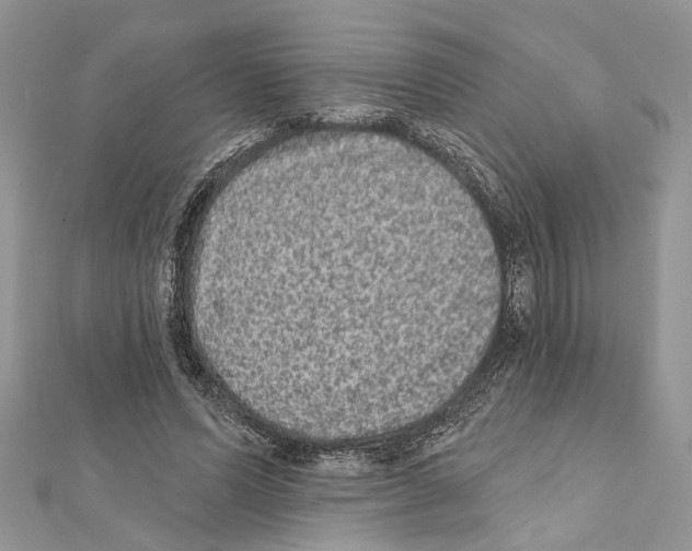 X0000111640591200908281159