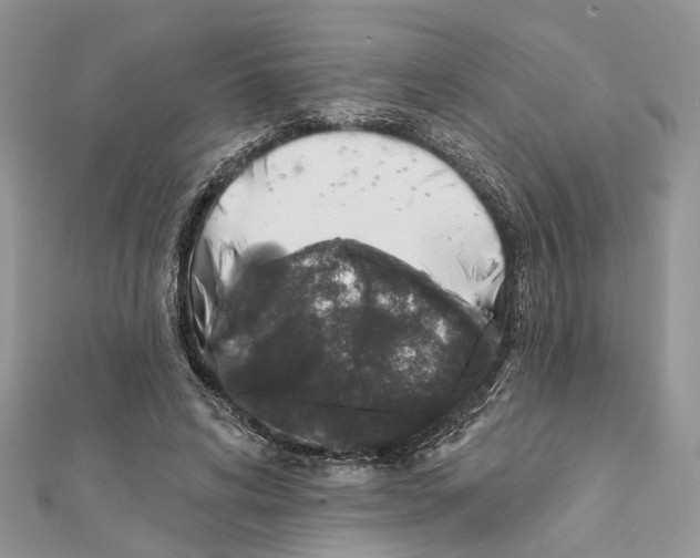 X0000111640592200908281159