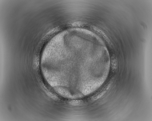 X0000111640593200908281159