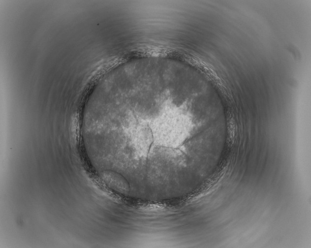 X0000111640594200908281159