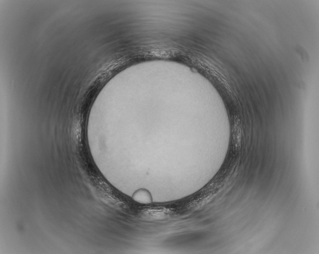 X0000111640595200908281159
