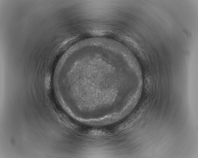 X0000111640596200908281159