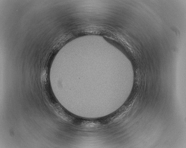 X0000111640597200908281159