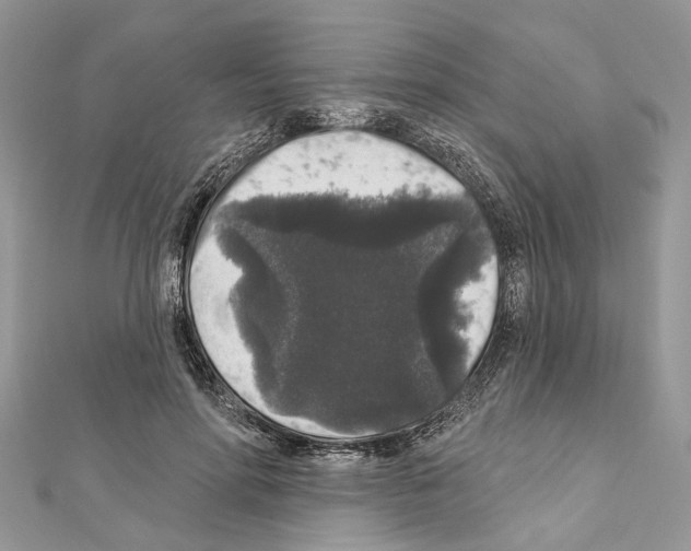 X0000111640598200908281159
