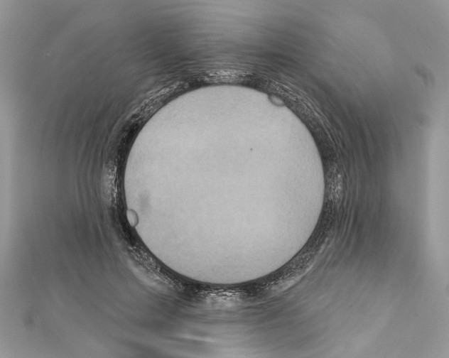 X0000111640599200908281159
