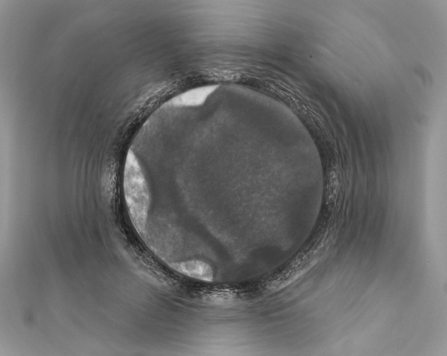 X0000111640600200908281159