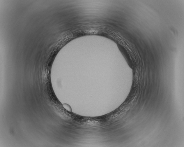 X0000111640601200908281159