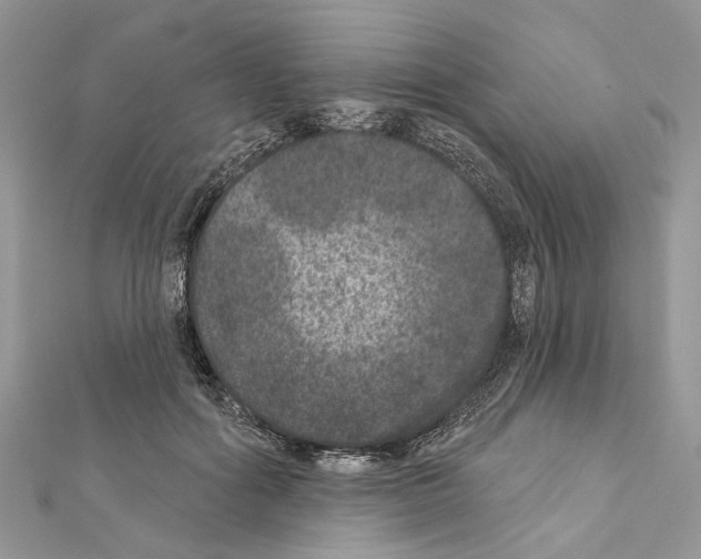 X0000111640602200908281159