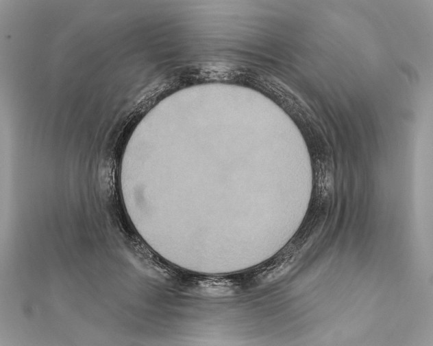 X0000111640603200908281159