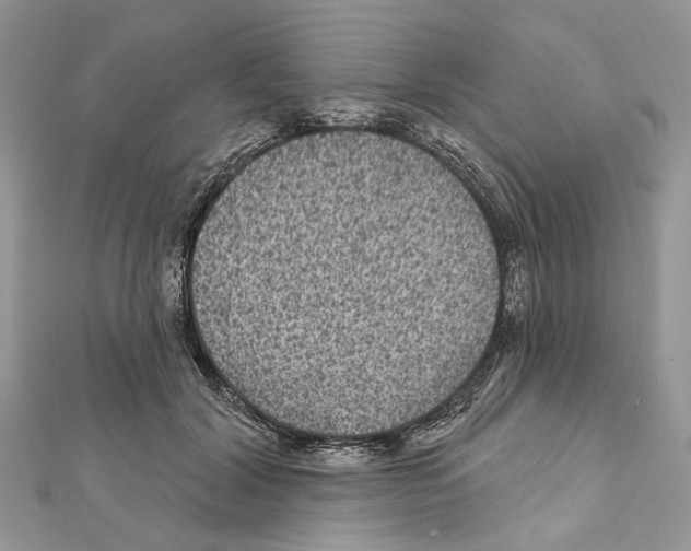 X0000111640604200908281159