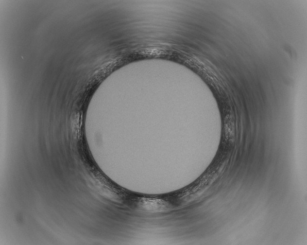 X0000111640605200908281159