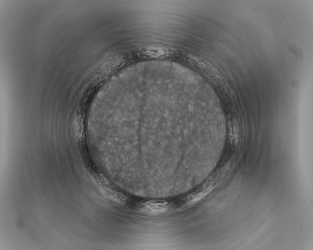 X0000111640606200908281159