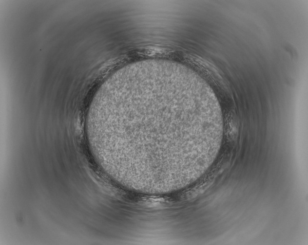 X0000111640607200908281159