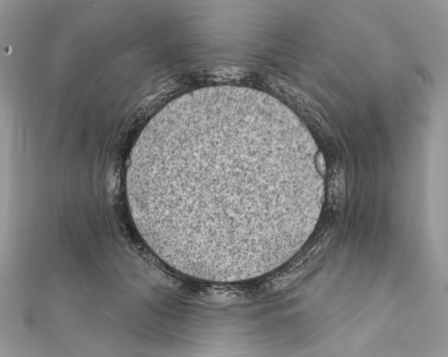 X0000111640608200908281159