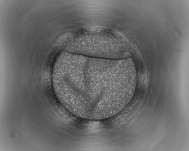 X0000111640609200908281159
