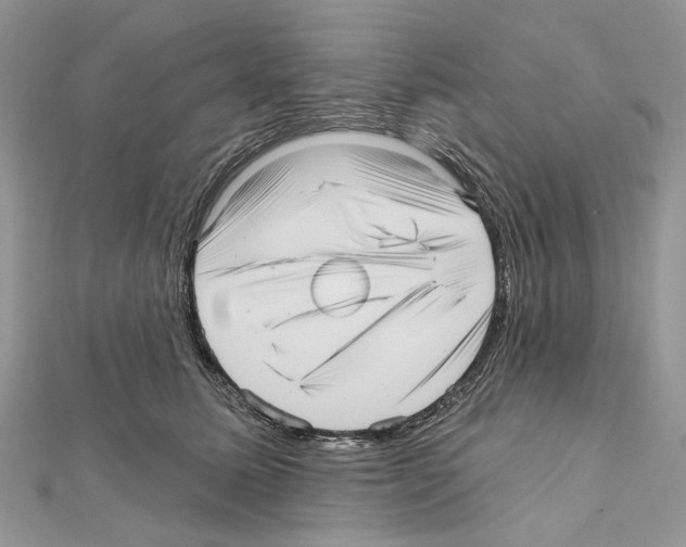 X0000111640611200908281159