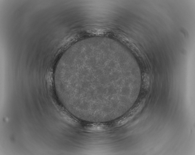 X0000111640612200908281159