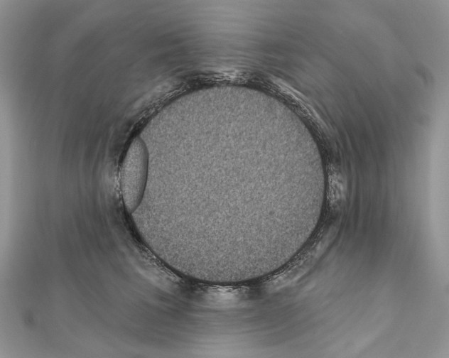 X0000111640613200908281159
