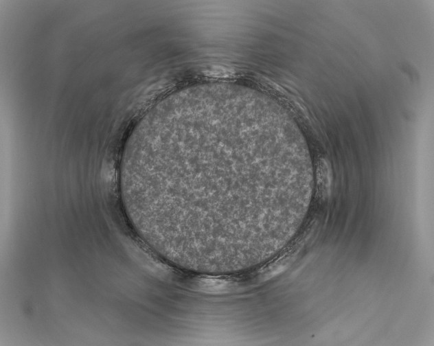 X0000111640614200908281159