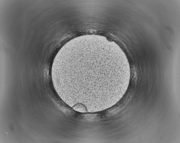 X0000111640615200908281159