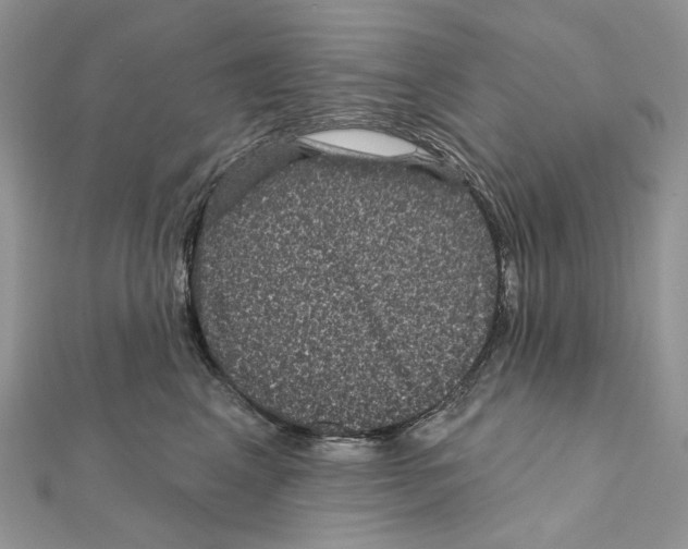 X0000111640617200908281159