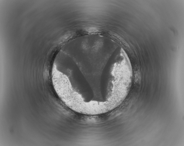 X0000111640618200908281159
