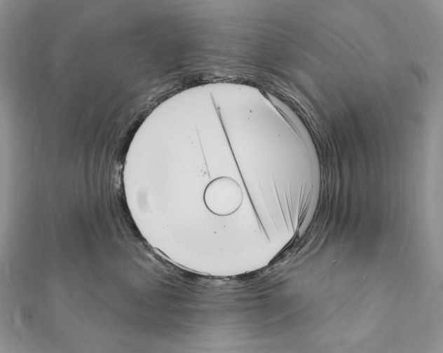 X0000111640621200908281158