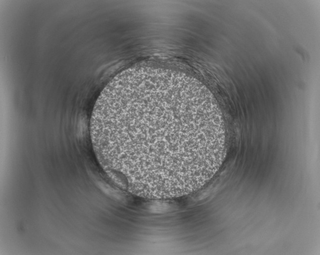 X0000111640623200908281158