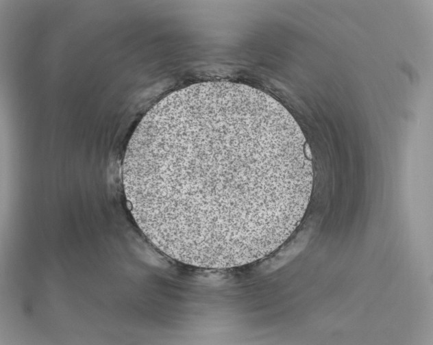 X0000111640624200908281158