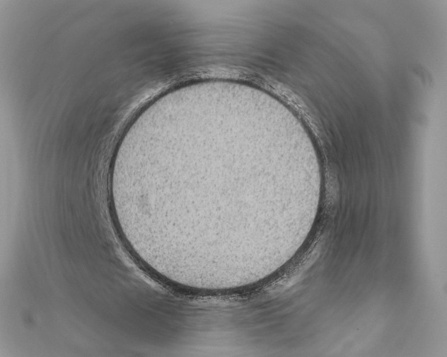 X0000111640625200908281158