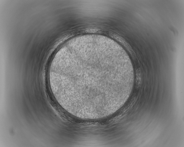 X0000111640626200908281158