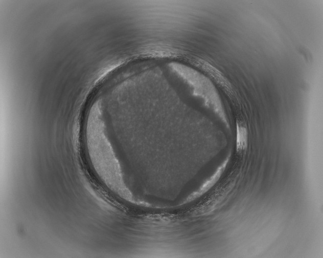 X0000111640627200908281158