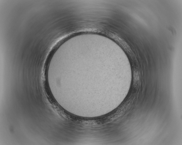 X0000111640628200908281158