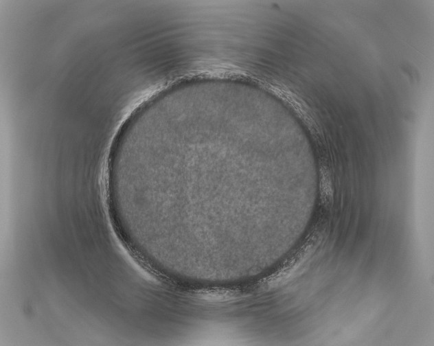 X0000111640630200908281158