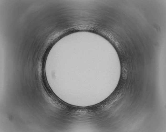 X0000111640631200908281158