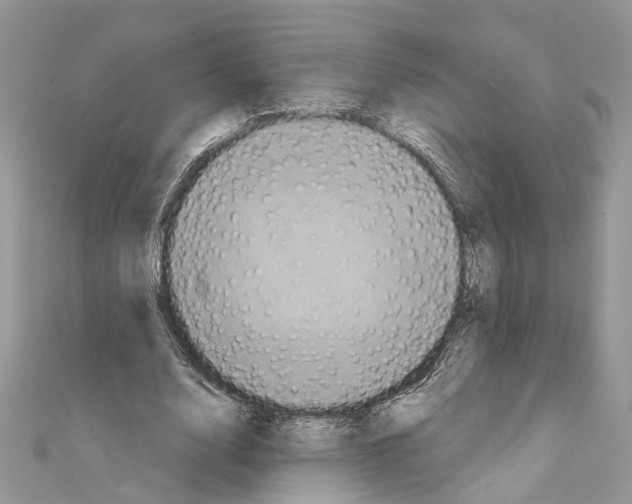 X0000111640632200908281158