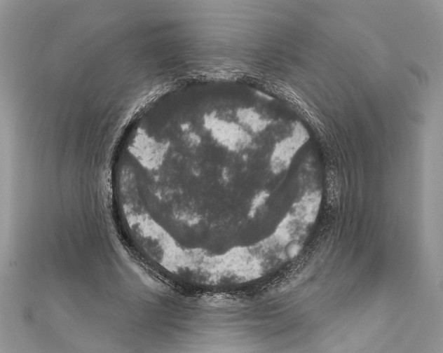 X0000111640634200908281158