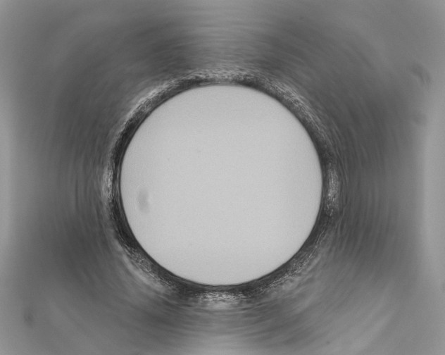 X0000111640636200908281158
