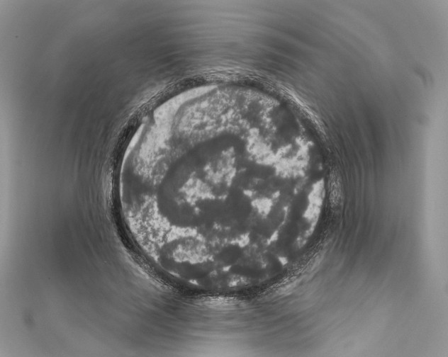 X0000111640637200908281158