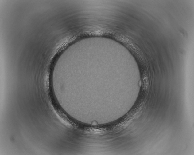 X0000111640638200908281158