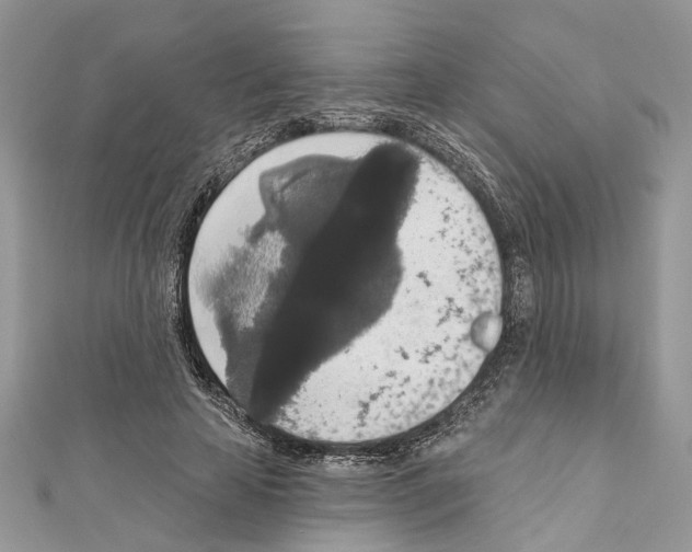 X0000111640641200908281158