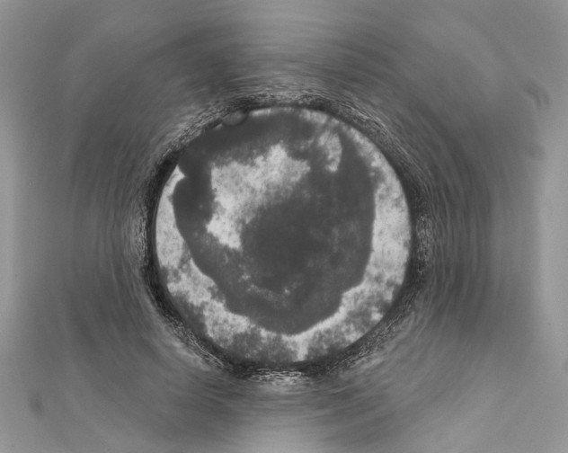 X0000111640642200908281158