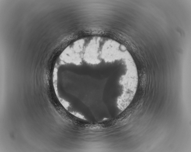 X0000111640643200908281158
