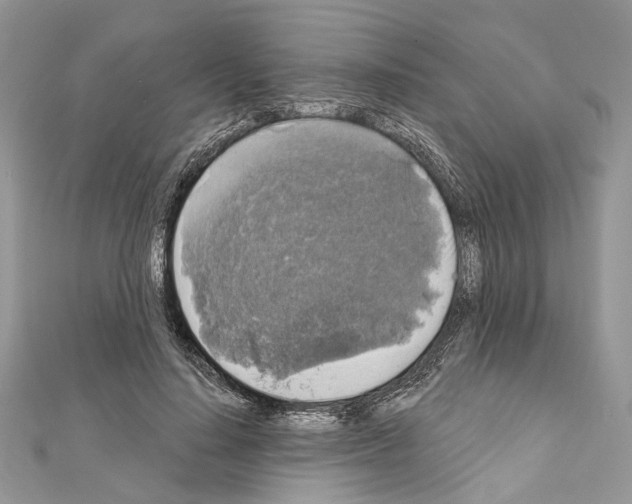 X0000111640644200908281158