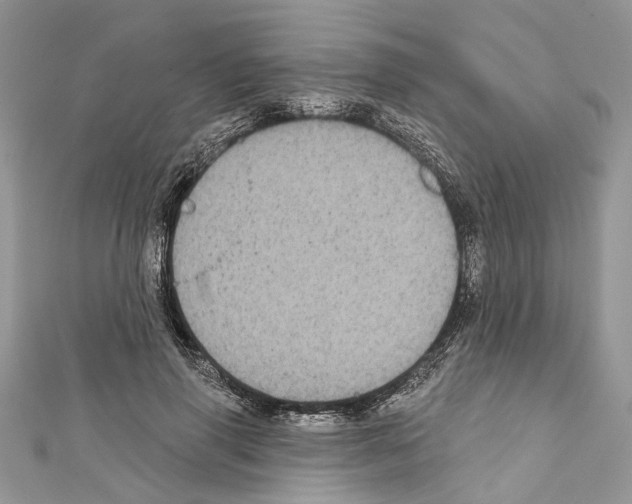 X0000111640645200908281158