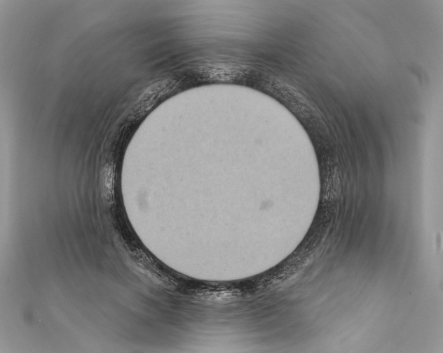 X0000111640646200908281158