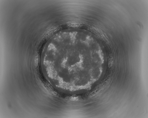 X0000111640647200908281158